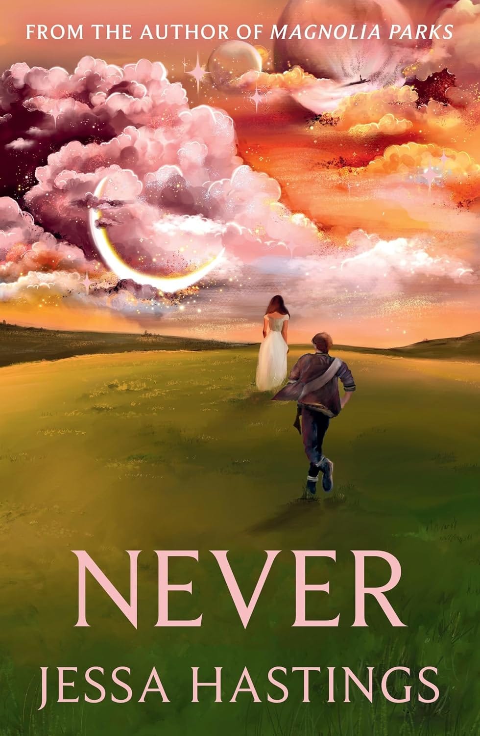 [Download PDF] Never (Never, 1) By Jessa Hastings by Christina Cleti