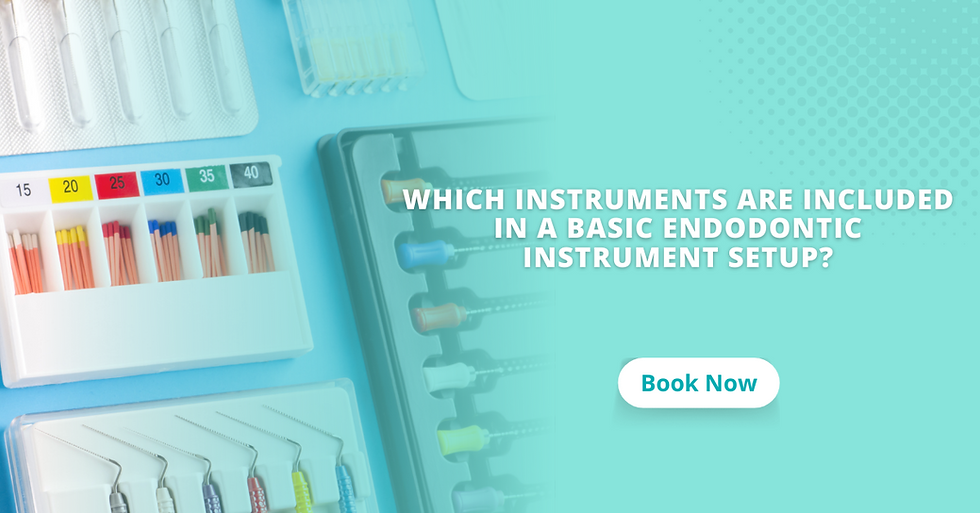 Which instruments are included in a basic endodontic instrument setup? by Amplemeds Medium