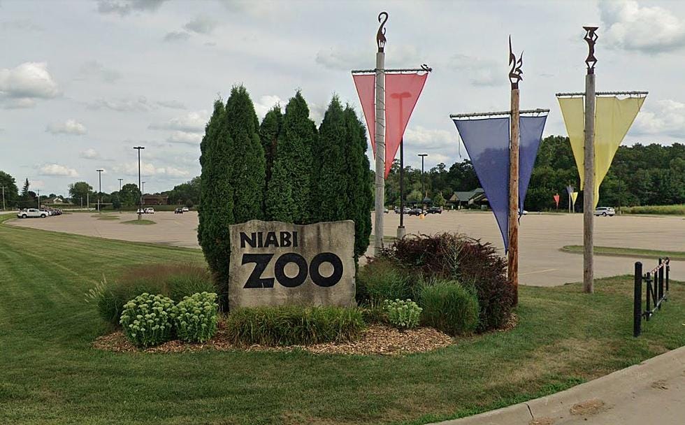 Niabi Zoo Hours and Ticket Price. Niabi Zoo, a captivating wildlife