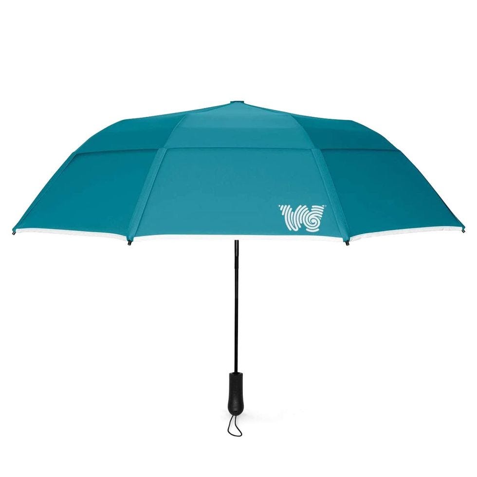 The Weatherman’s Secret Discover the Best Collapsible Umbrella
