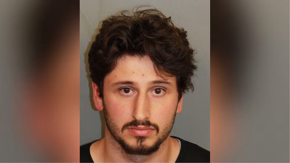 Man charged after throwing kittens out of moving car on I-65 near Lakeshore Drive
