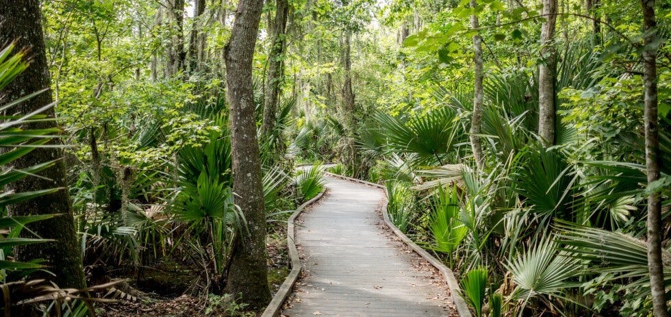 Build Versatile Pipelines in Elyra using Pipeline Parameters | by ...