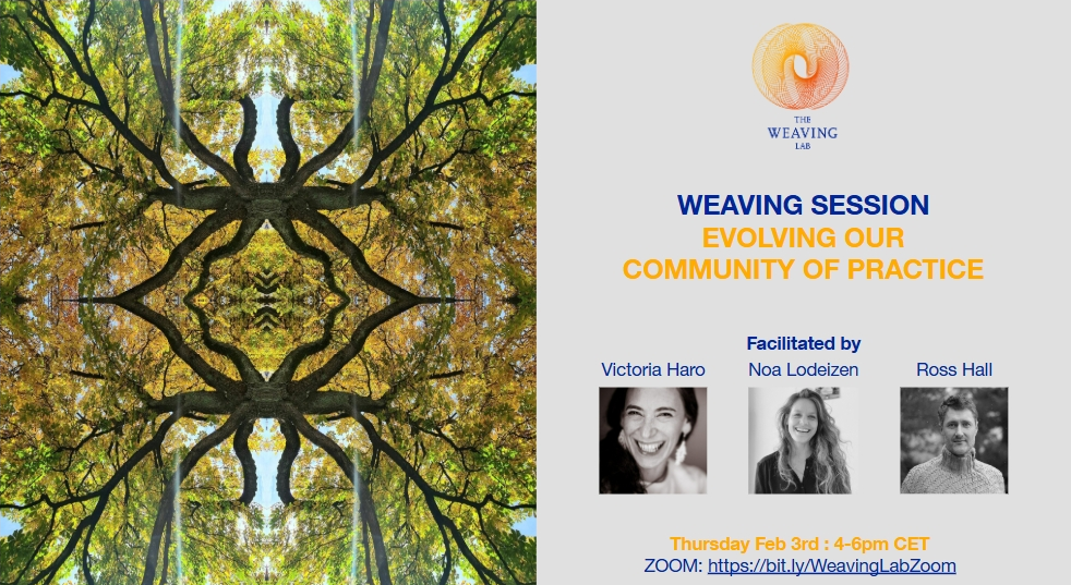 Weaving Lab Community of Practice: The First 12 months