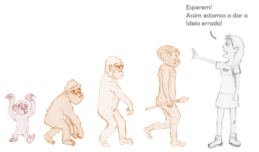 De quem evoluiu o macaco?