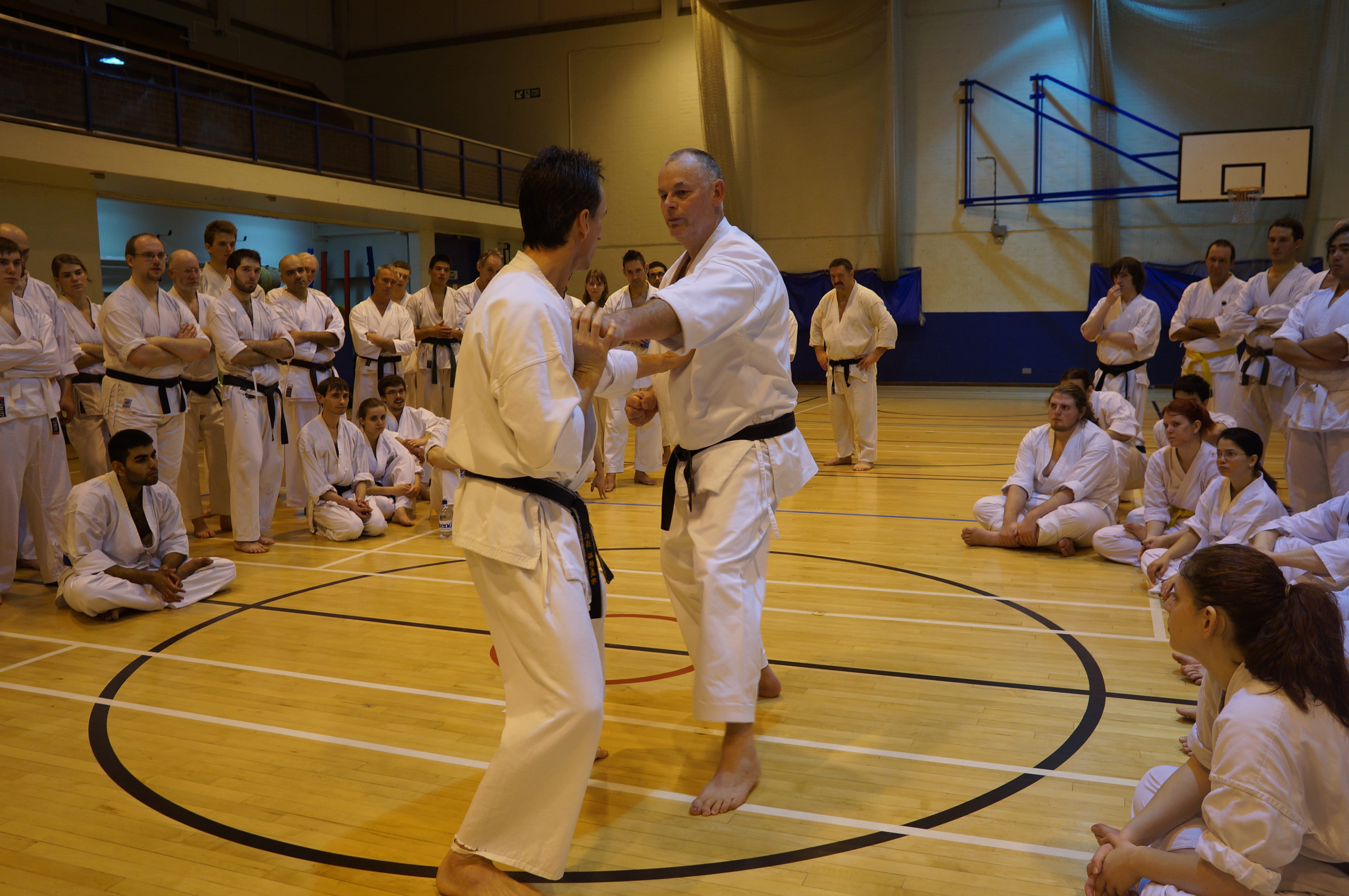 Shigeru Egami: Shotokai Karate