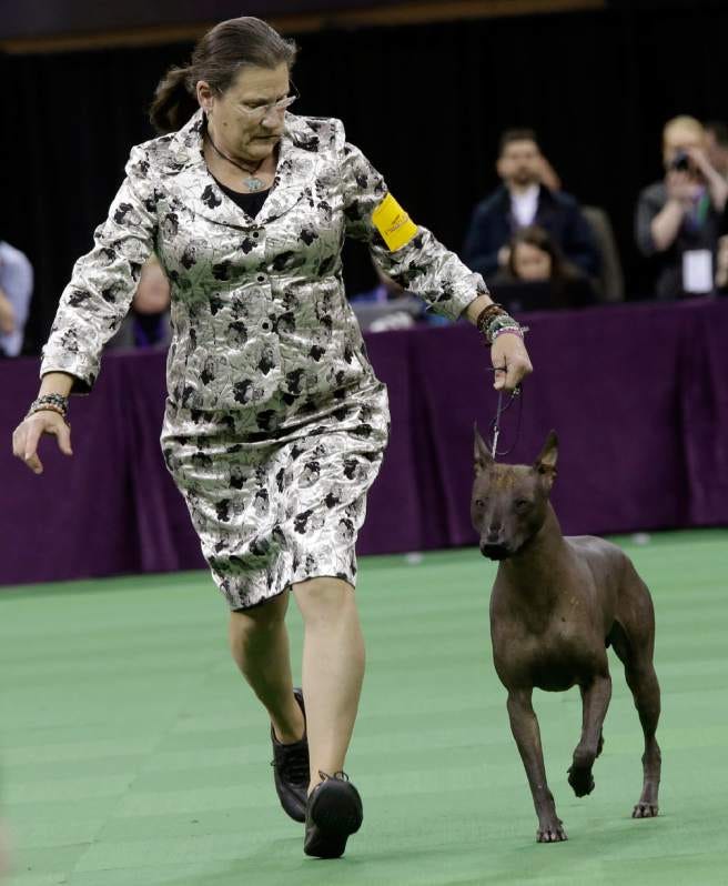 They’re Wearing What? Dog Show Handlers Edition