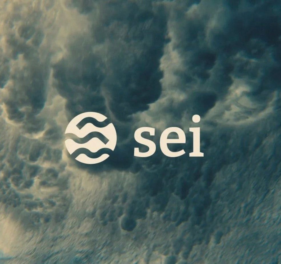 WHO BELIEVED IN SEI. Sei, the first layer 1 blockchain… | by sleeps ...
