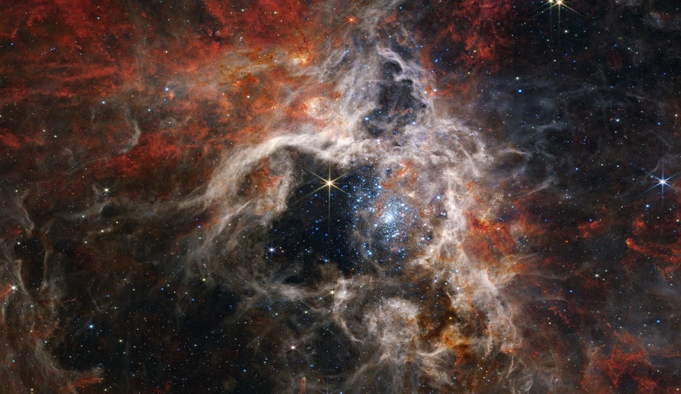 Что космическая пыль расскажет нам о древних галактиках |  Аластер Уильямс |  Ожидайте |  ноябрь 2023 г.