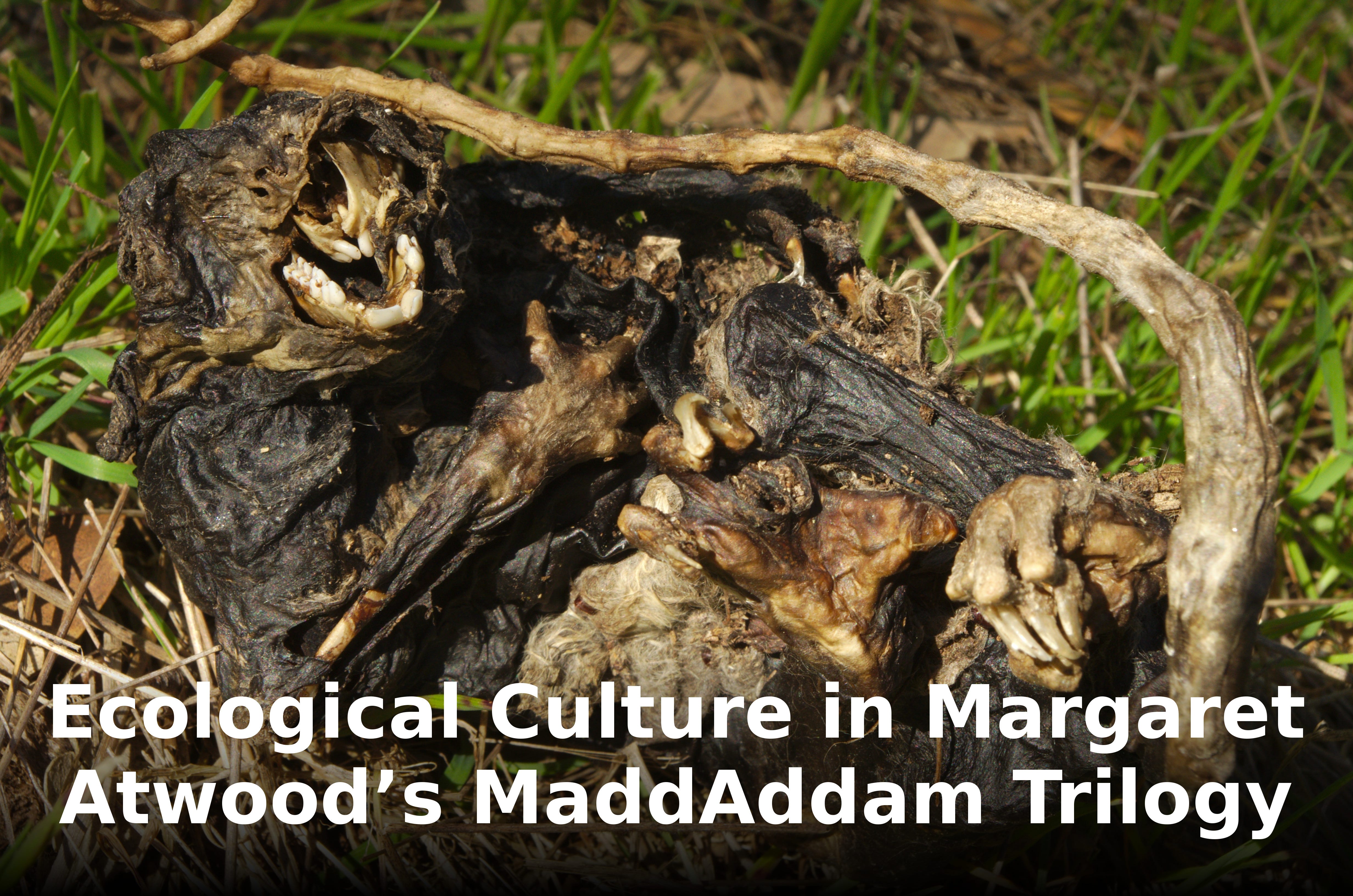 Ecological Culture in Margaret Atwoods MaddAddam Trilogy by Russell Edwards Culture Dysphoria Medium
