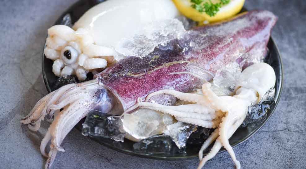 Squid And Calamari Same Thing. Squid and calamari are two terms often