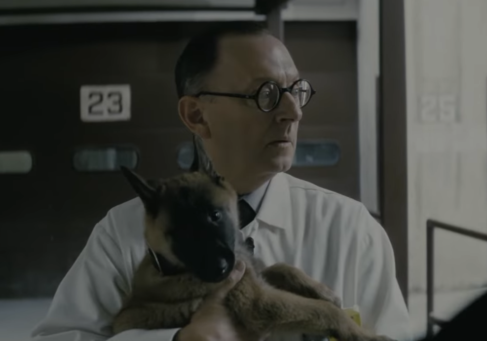 D’aww. The earlier scene was rough, though. If you don’t know what I mean, I recommend www.doesthedogdie.com. Credit: Amazon Prime Video