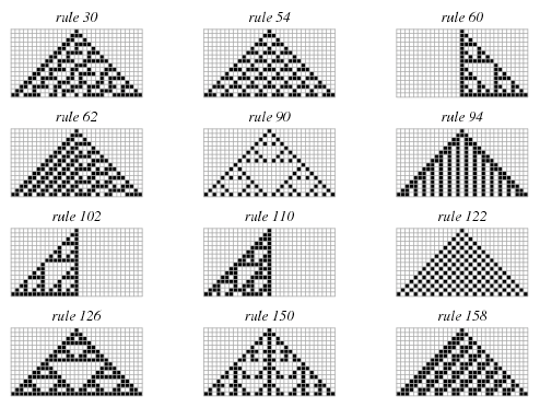 Elementary Cellular Automaton. A Theory On How Simple Structures… | by  Jesus Najera | Cantor's Paradise