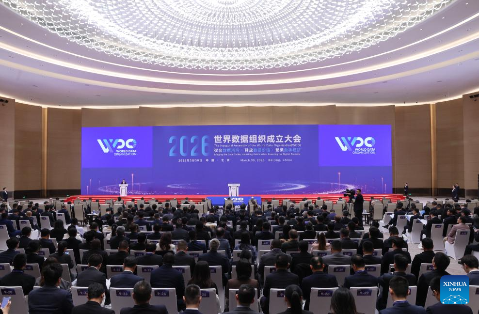 The role of the World Data Organization on the digital sovereignty chessboard