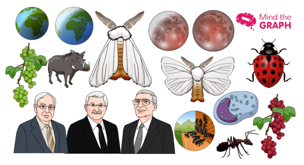 #23 Scientific illustrations of the week: Don’t miss it! | by Mind the ...