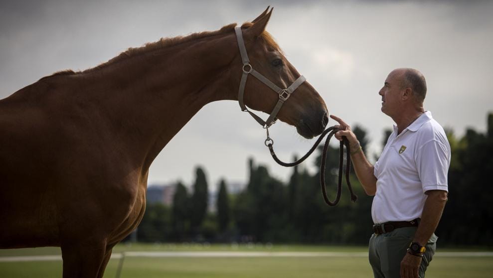 Horses te trae los 6 datos a considerar en la crianza de caballos y 4 datos relevantes