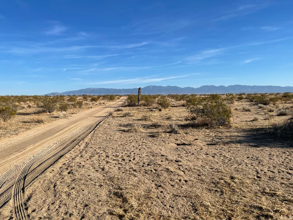 Why I'm Investing In Barren Land