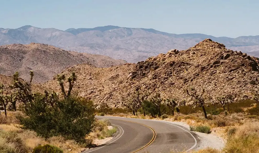 Art As Praxis: Embarking on Regreening the Desert