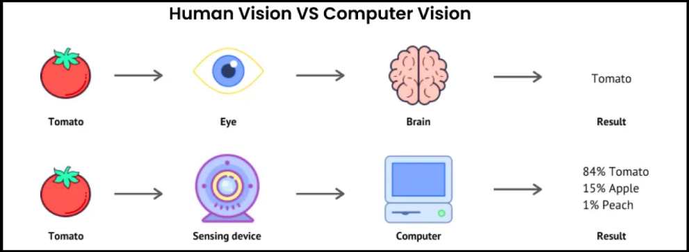 Imagem 2 - https://www.ultralytics.com/pt/blog/exploring-how-the-applications-of-computer-vision-work
