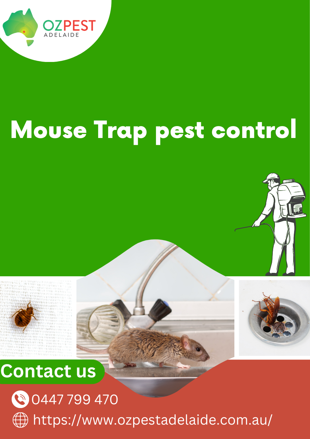 Commercial Pest Control