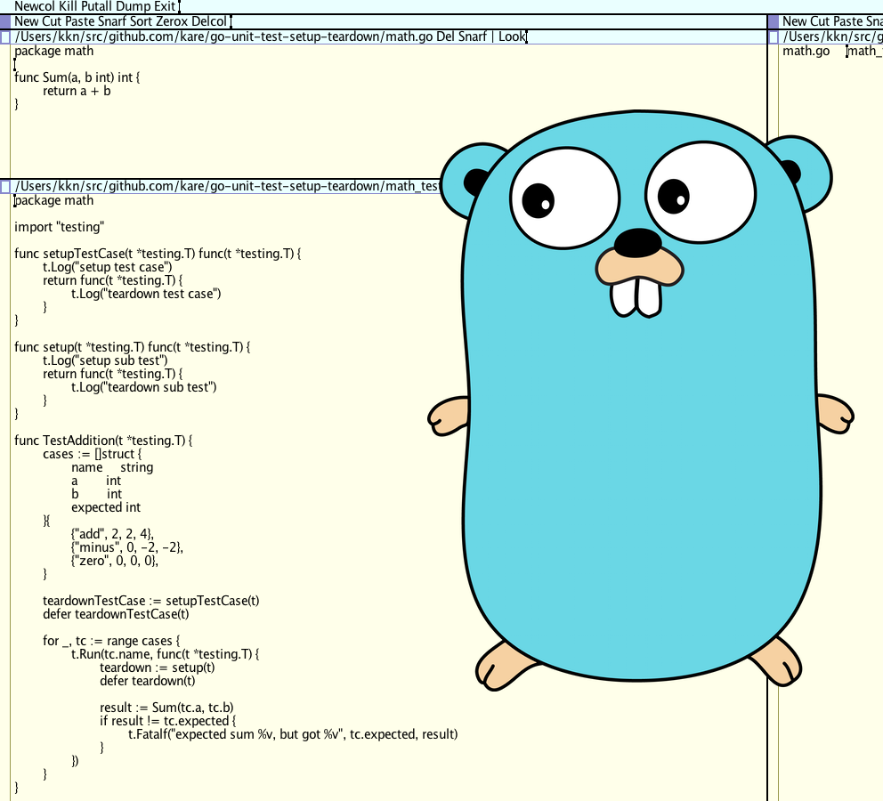 Go unit test setup and teardown. Go’s unit testing library provides ...