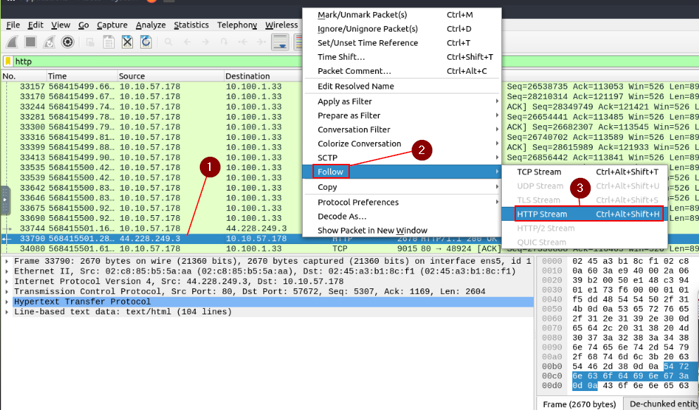 TryHackMe Wireshark: The Basics — Task 5 Packet Filtering & Task 6  Conclusion | by Haircutfish | Medium