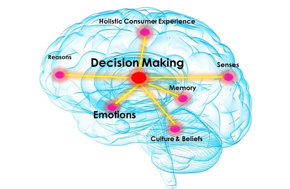 decision making brain