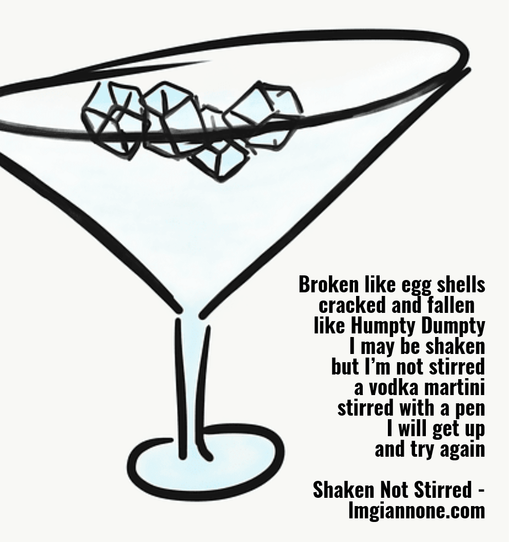 Shaken Not Stirred Top
