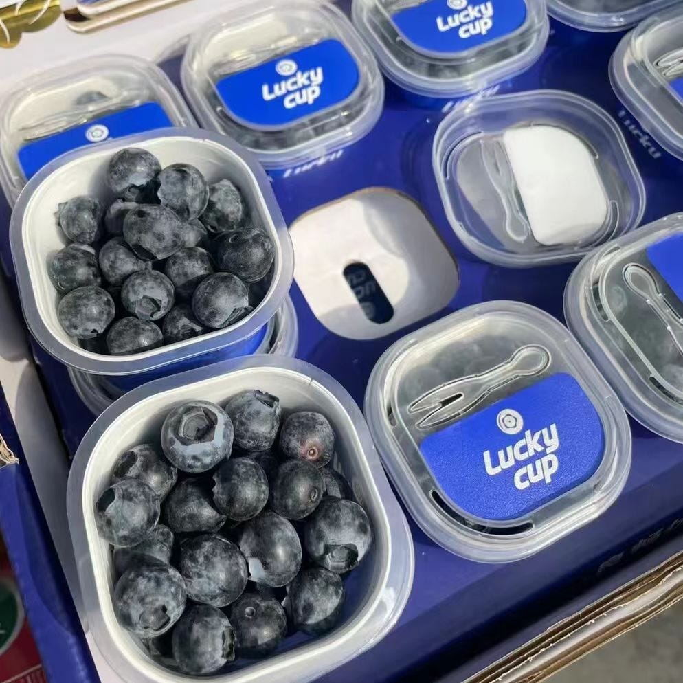 How to Keep Blueberries Fresh in Biodegradable Packaging