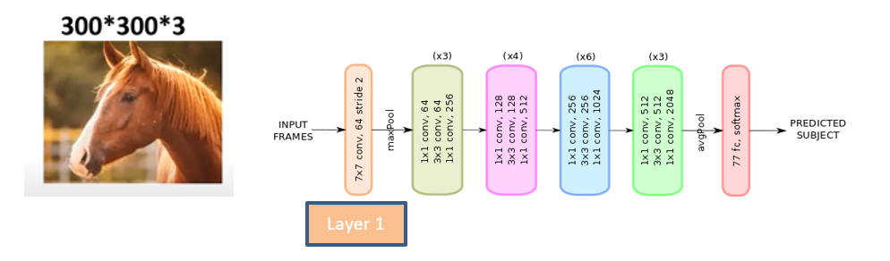 ResNet-50: Introduction. ResNet50 is a variant of the ResNet… | by ...
