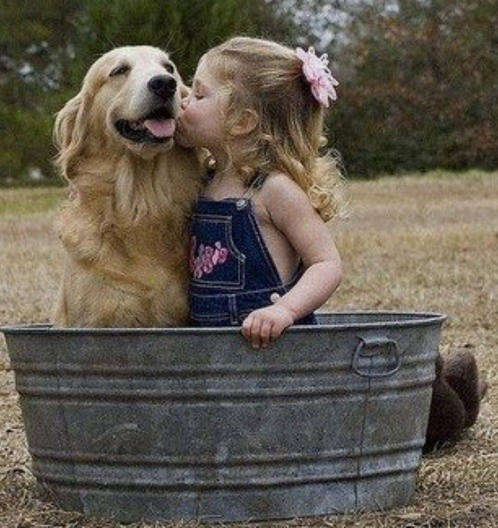 Русские мама собаками. Собаки самые лучшие друзья. Собака для детей. Для детей. Животные. Ребенок обнимает собаку.