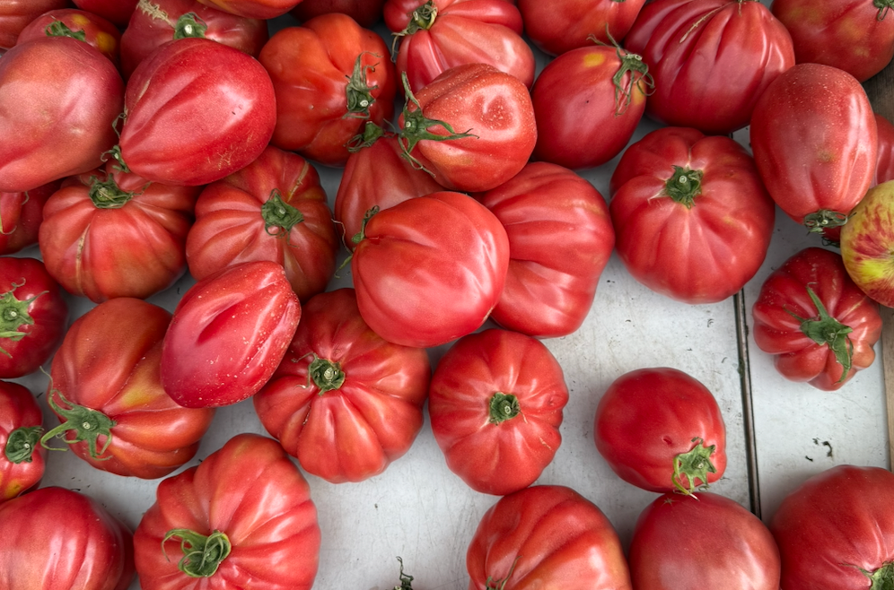The Tomato Juice-Effect: How tiny dependencies quietly slow down million-dollar projects