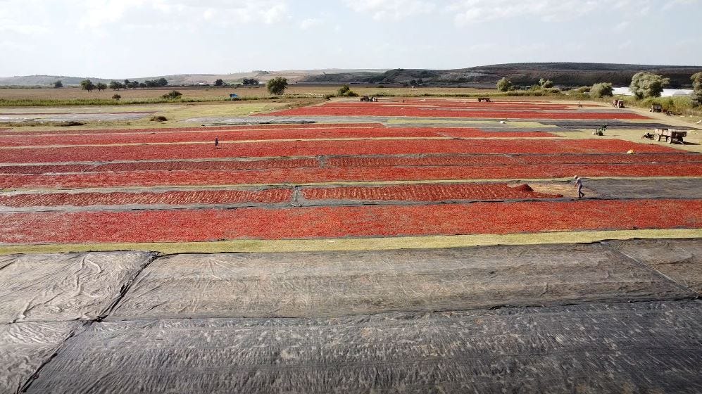 Türkiye’nin detaylarındaki muhteşem güzelliklerden sadece biri: Ovaazatlı Biberi