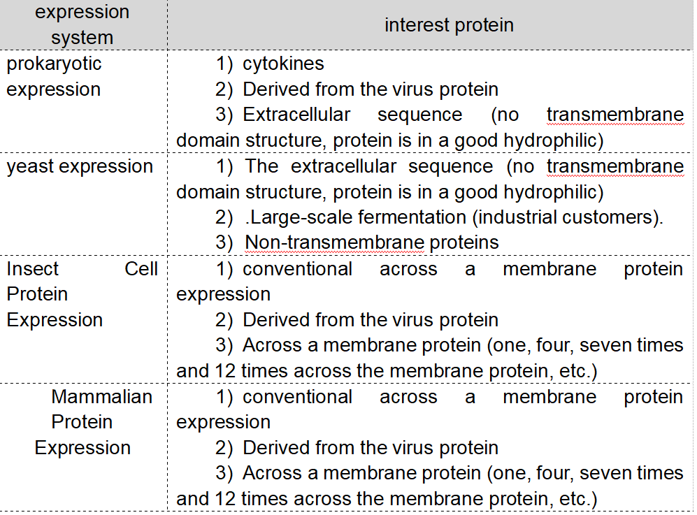protein expression. What is protein expression