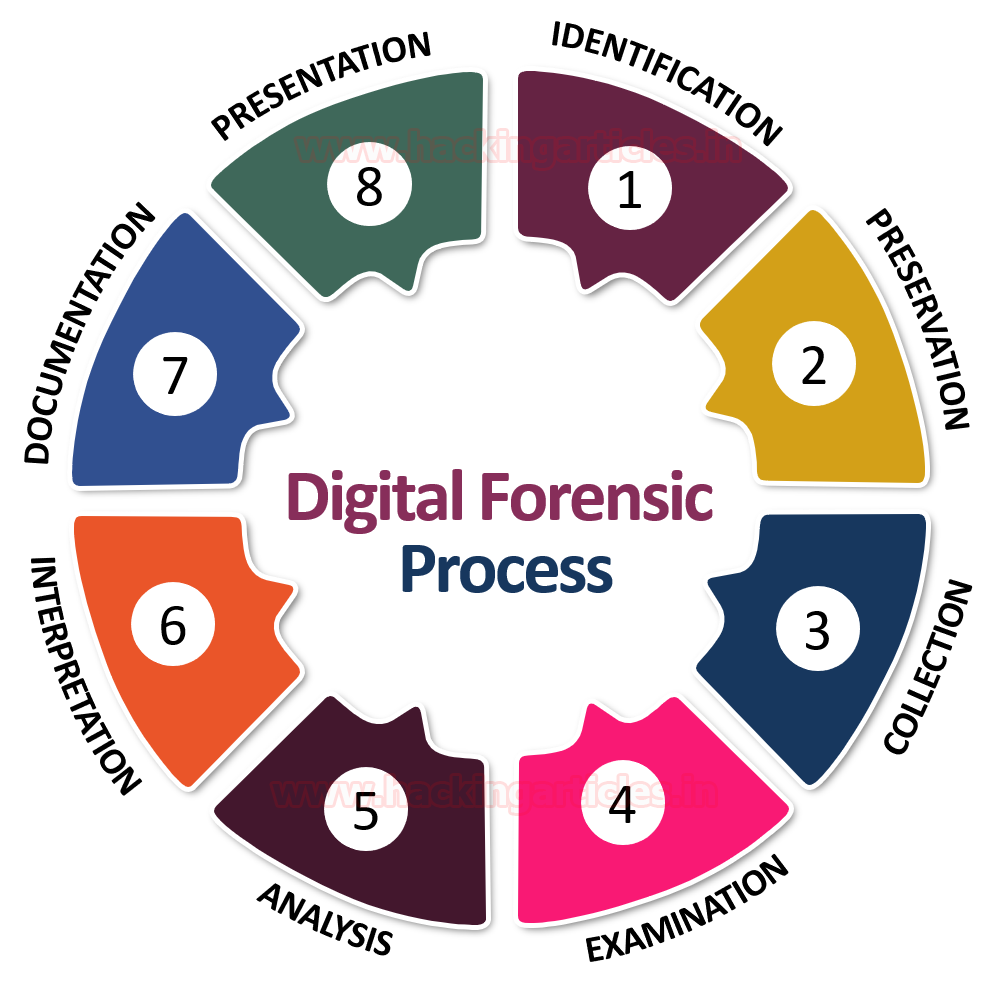 Digital Forensics Market Status and Trend Report 20232032 by