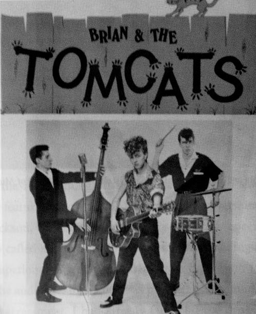 洋楽 stray cats (brian setzer&the tom cats) Brian Setzer The & Tomcats - CD – Cats) the (Stray Stray