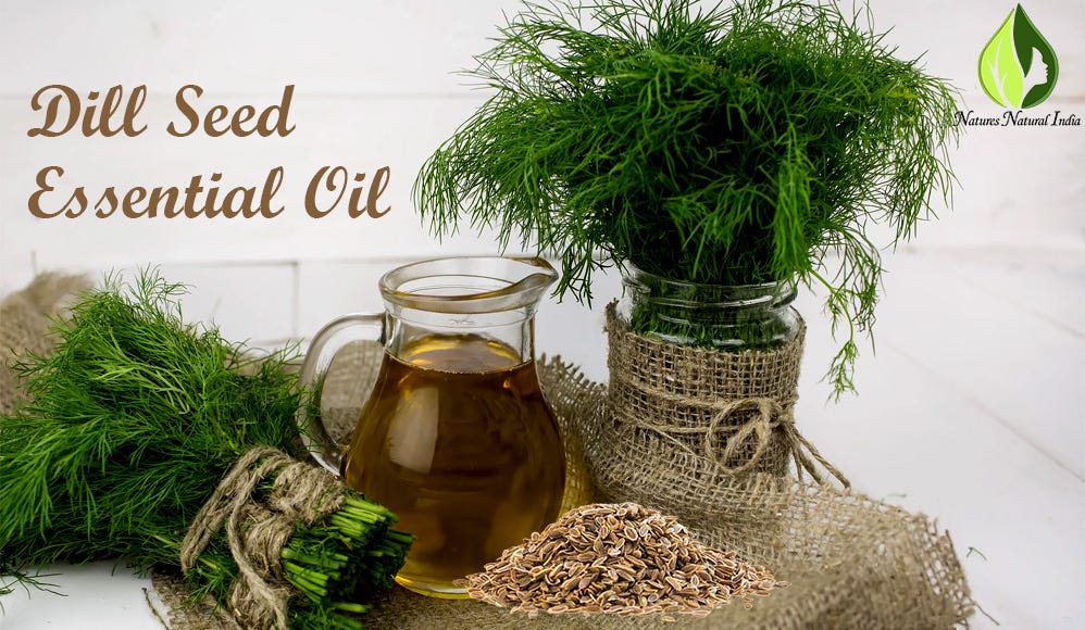 5 Incredible Benefits Of Dill Seed Essential Oil by Nature Natural