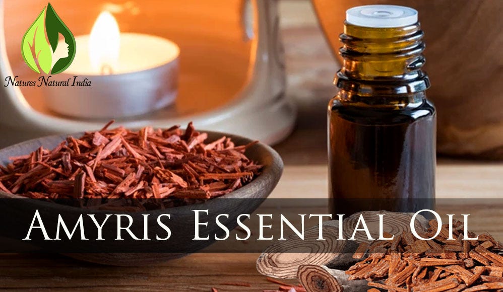 Amyris Essential Oil — An Alternative to Priciest Indian Sandalwood Essential  Oil! | by Nature Natural India | Medium