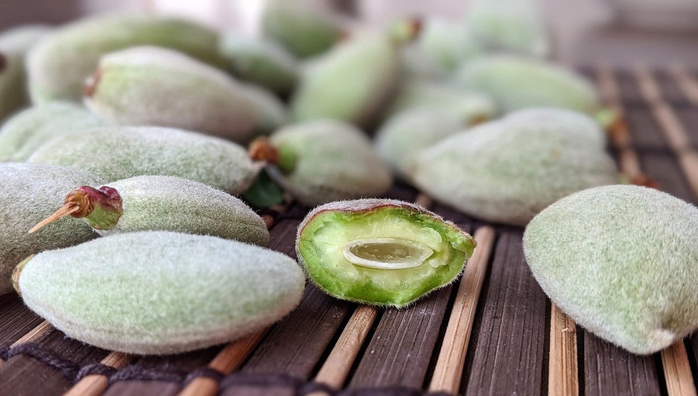 Trying New Fruits in Turkey What Are These Fuzzy Green Pods? by