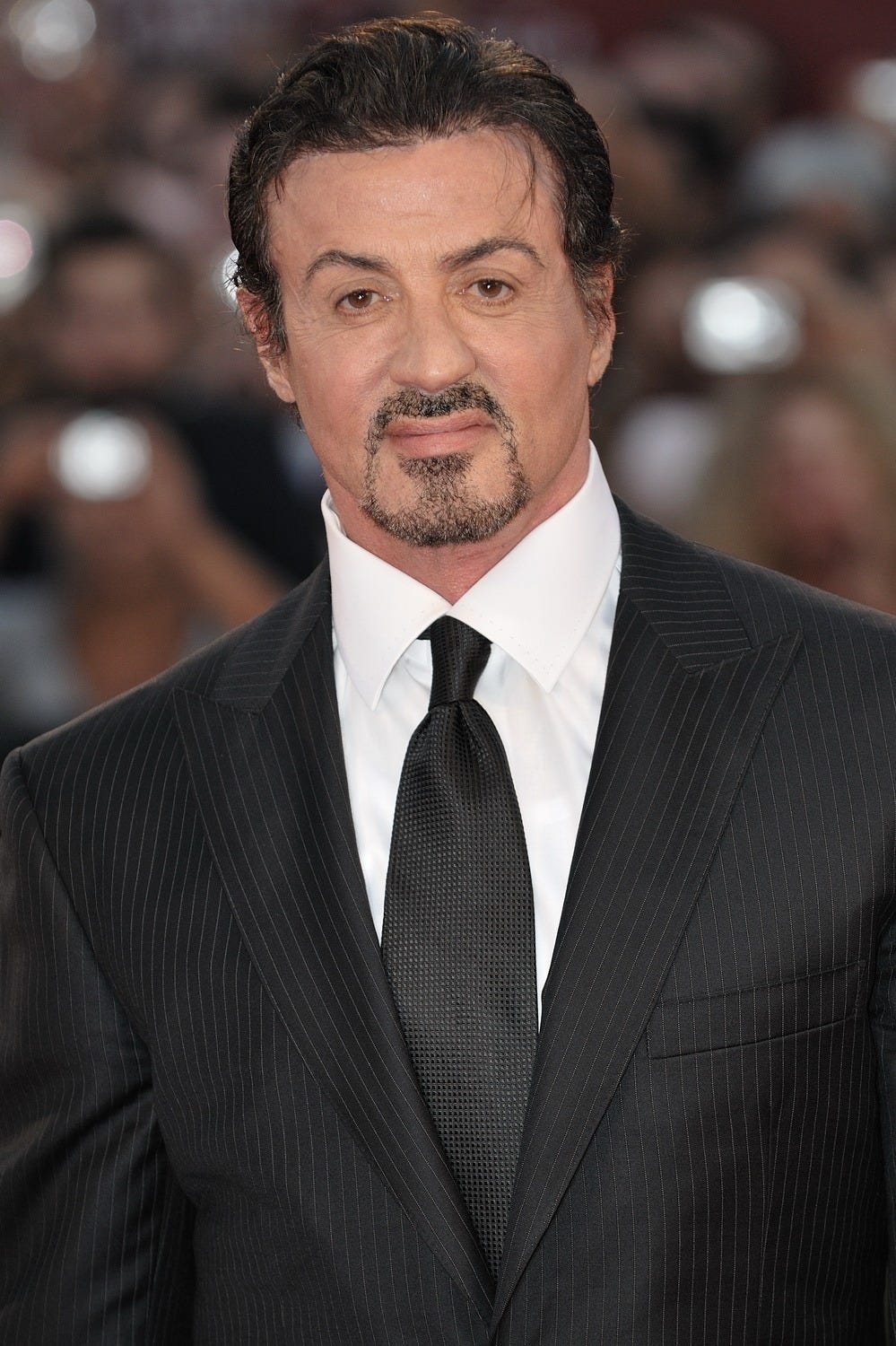Sylvester Stallone is a name that needs no introduction. | by Muhammad  Abdullah | Medium