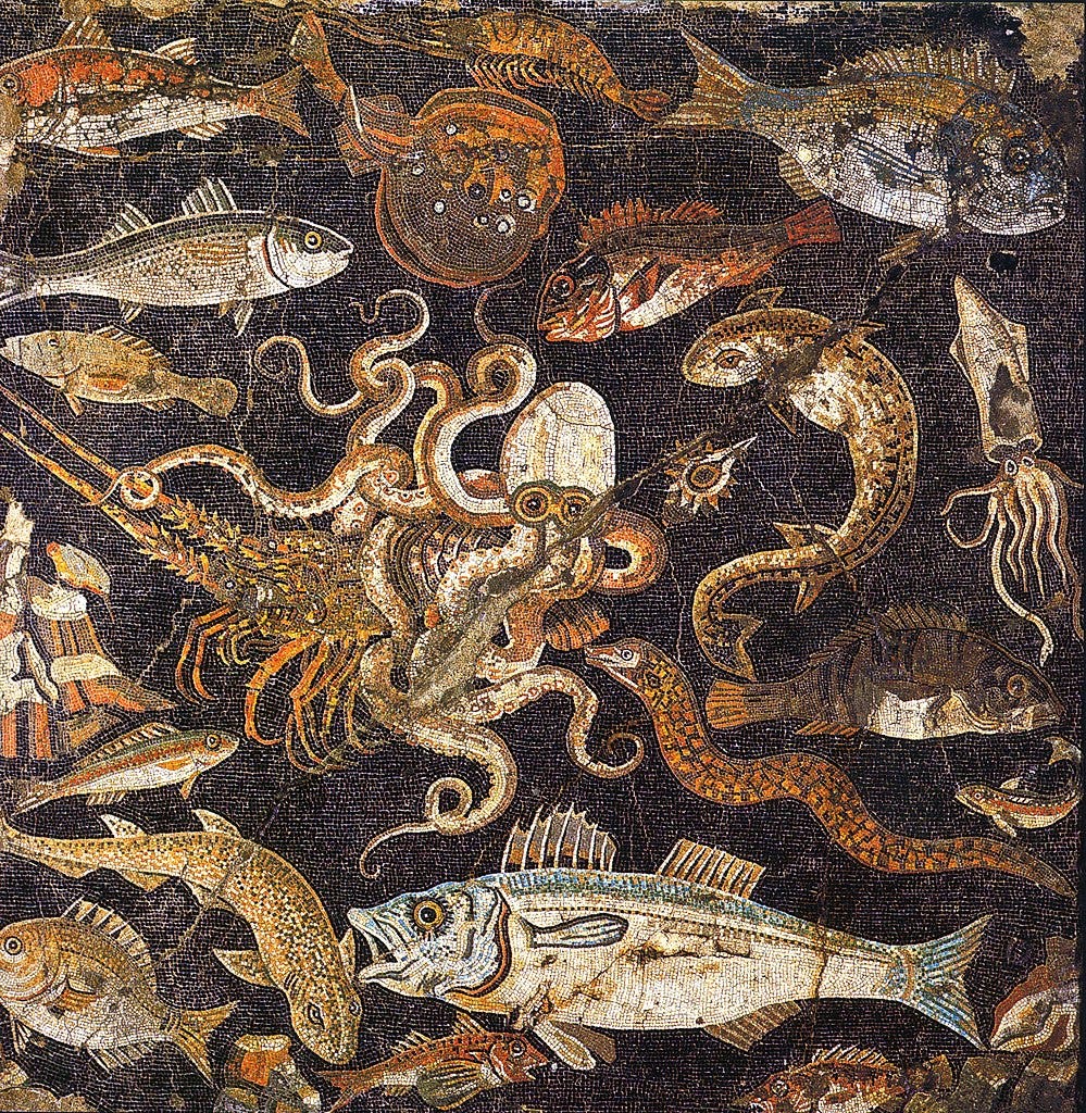 dolphin ancient roman mosaics pompeii