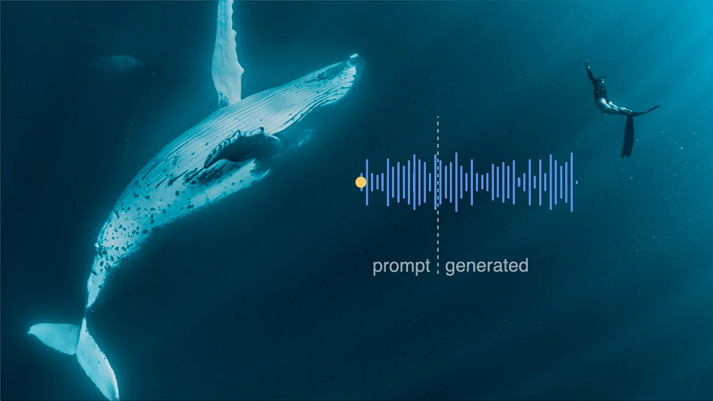 Decoding animal communication using AI | AIGuys