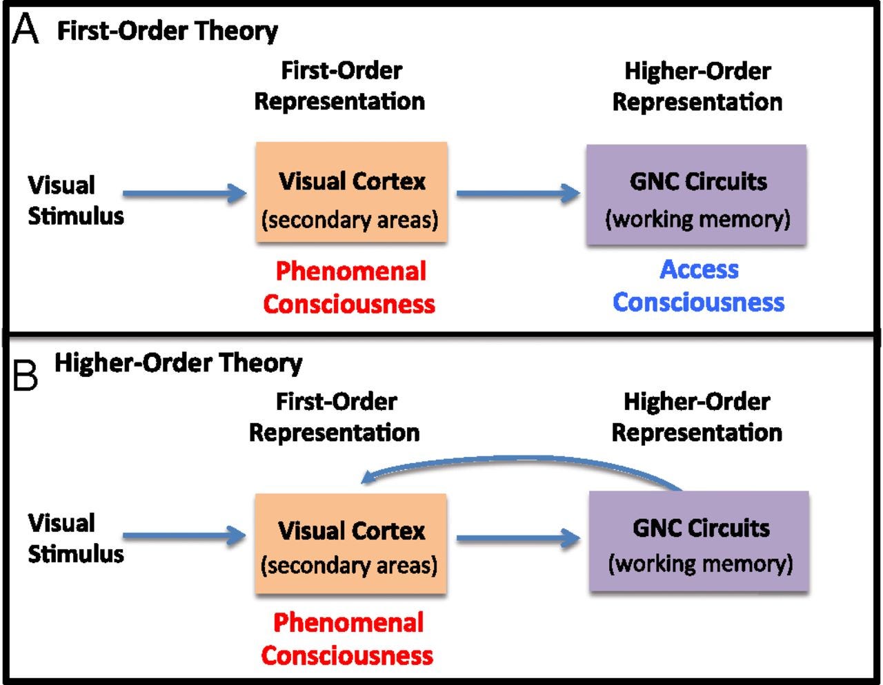 Second order theory. Order theory. towards a theory of mime.